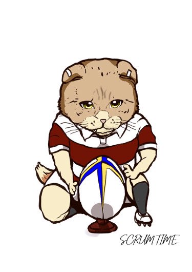 Scrum Time tweet media