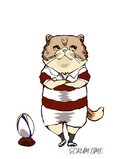 Scrum Time tweet media