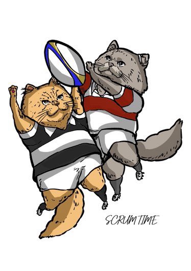 Scrum Time tweet media