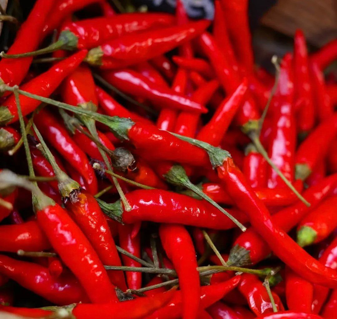 Victoria Park Market tweet media