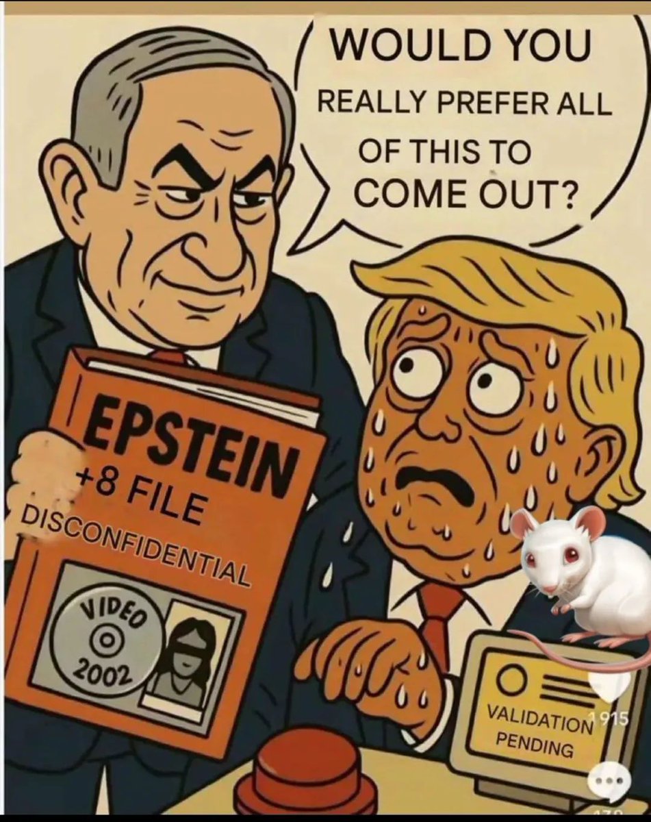 Kasım Alcan 🇹🇷💯 tweet media