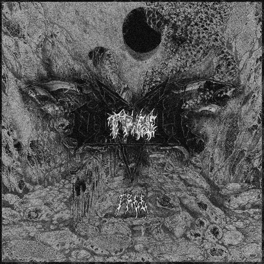 enthrl's tweet photo. OCCULT 1 @freakoh_ x @realtreeco https://t.co/FHMpiNlGiB