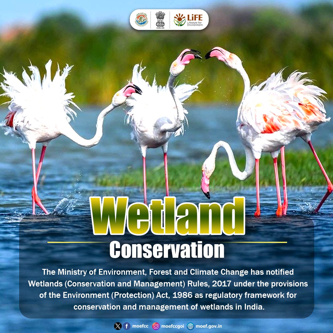 MoEF&CC tweet media