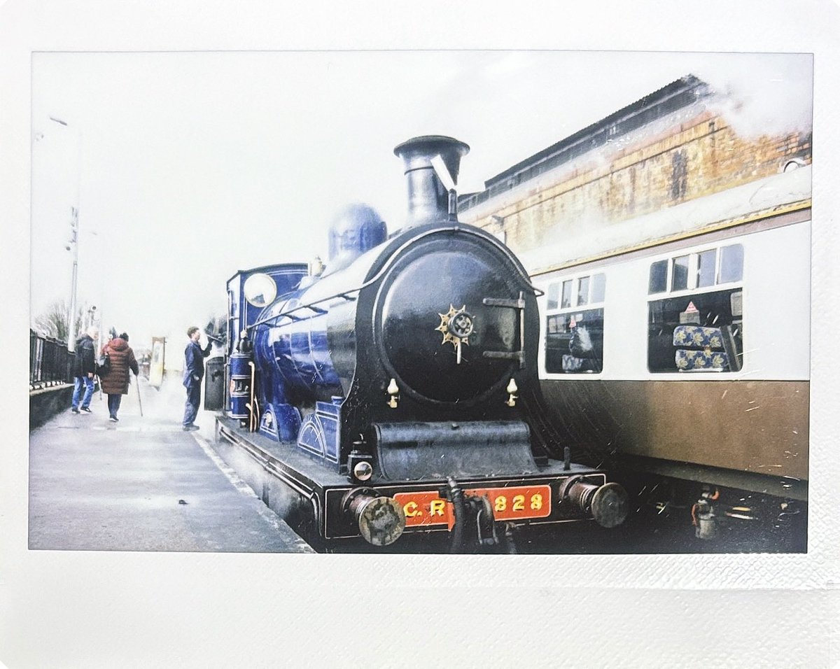 Mid Sudrian Deer tweet media