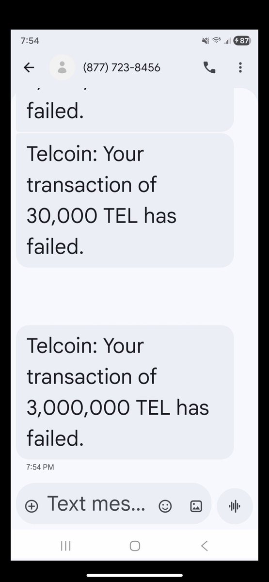 THE ITALIAN $TEL ACCUMULATOR tweet media