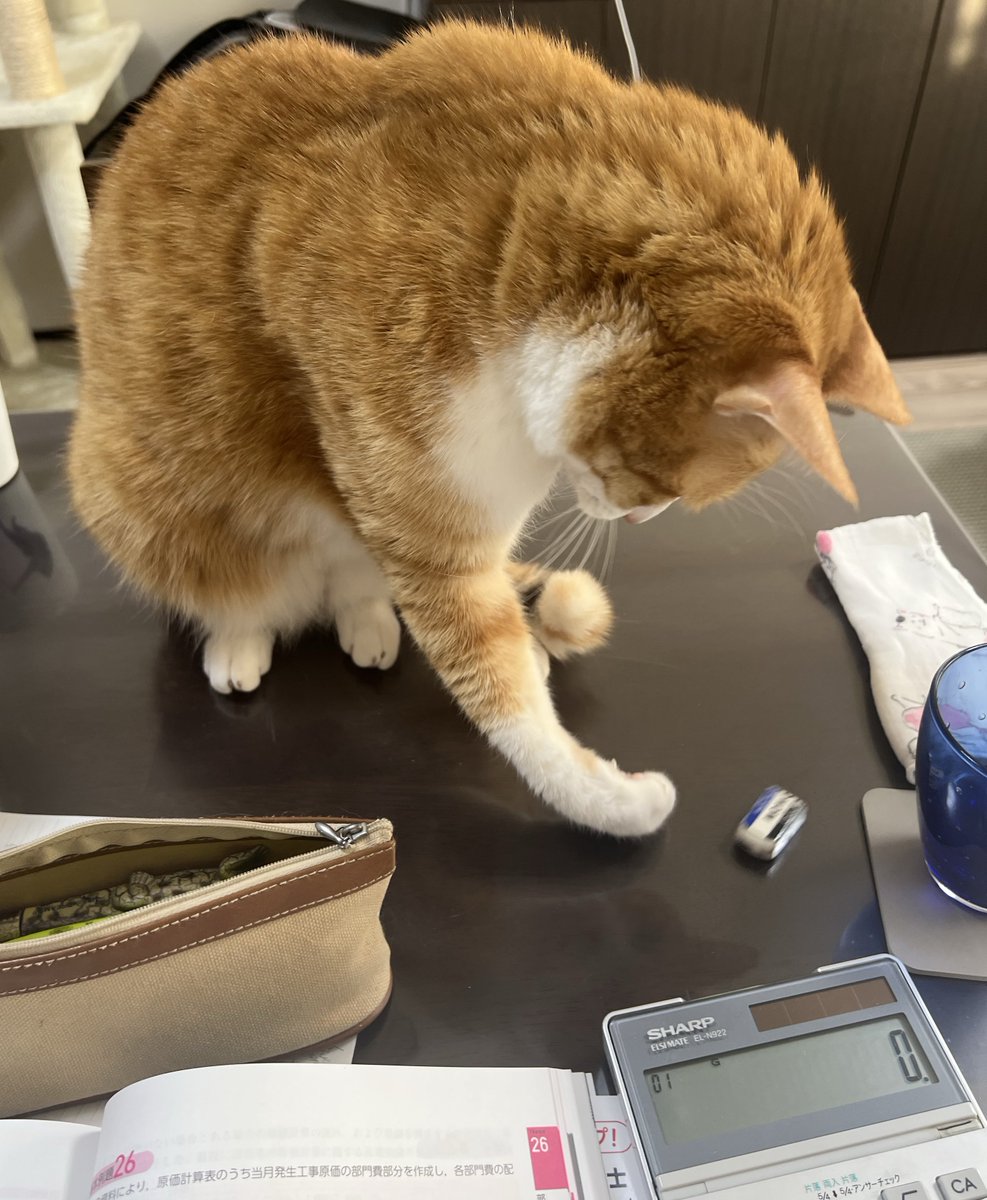 あの、勉強中なんで消しゴム飛ばしたりするのやめてもらえませんか？