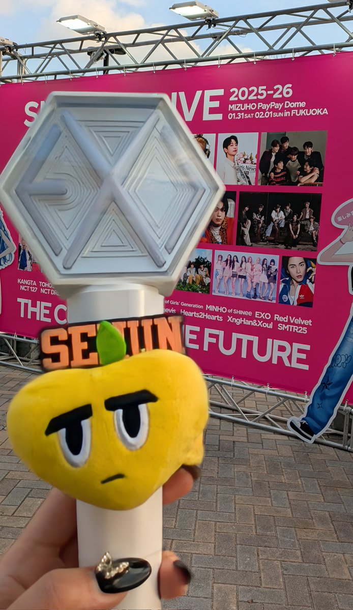 急きょ 今から！