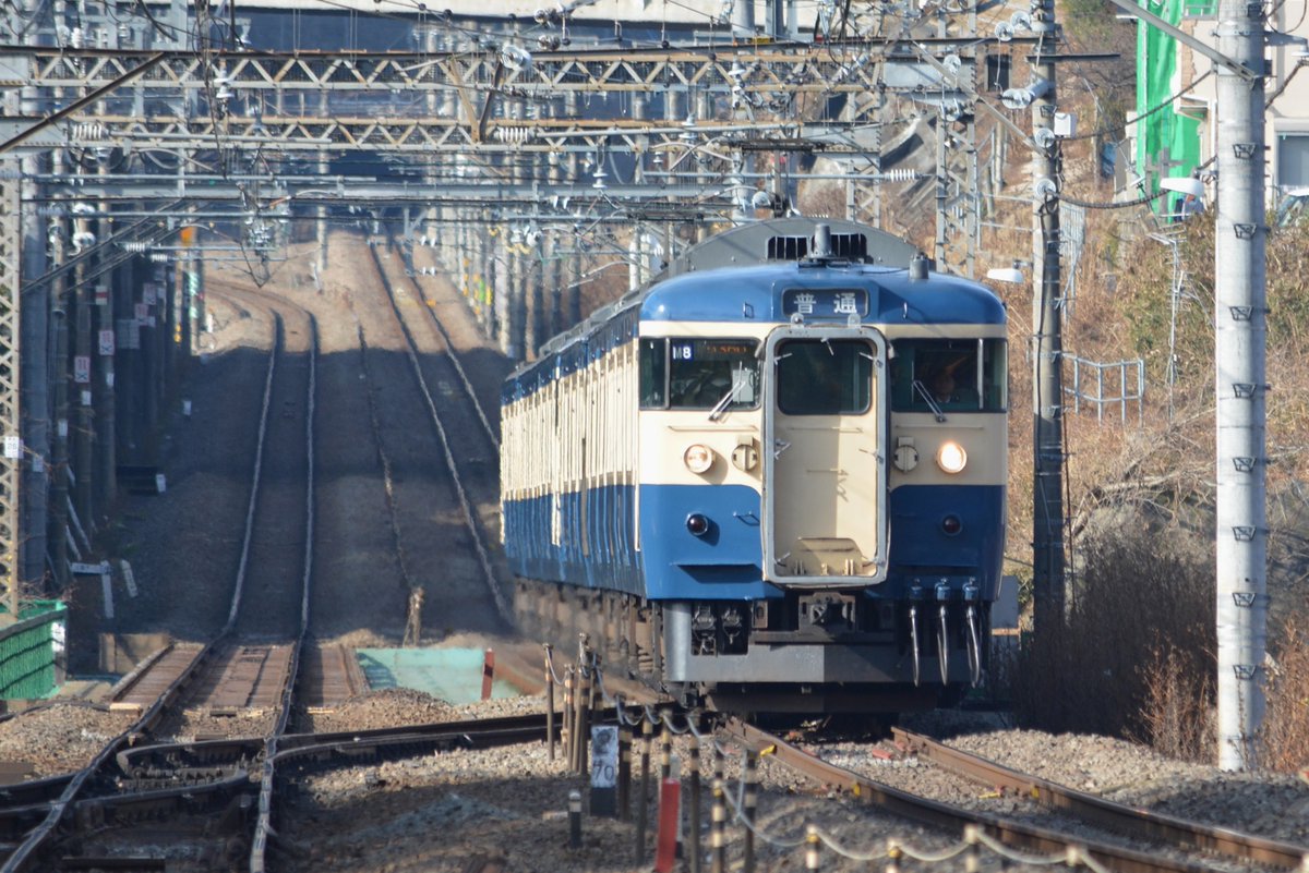 湘南あずき tweet media