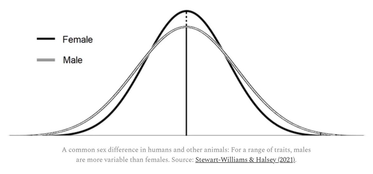 SteveStuWill's tweet photo. A common sex difference in humans and other animals: For a range of traits, males are more variable than females.

The Greater Male Variability Hypothesis: An excerpt from my book, A Billion Years of Sex Differences.

https://t.co/8JruB6zMQ5 [No paywall]