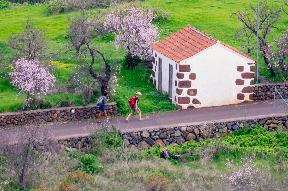 ¡Bienvenido febrero!
-Puntagorda, Isla de La Palma-
#LaPalma #EncantoRural #Almendros #Flores #mauro_fotos