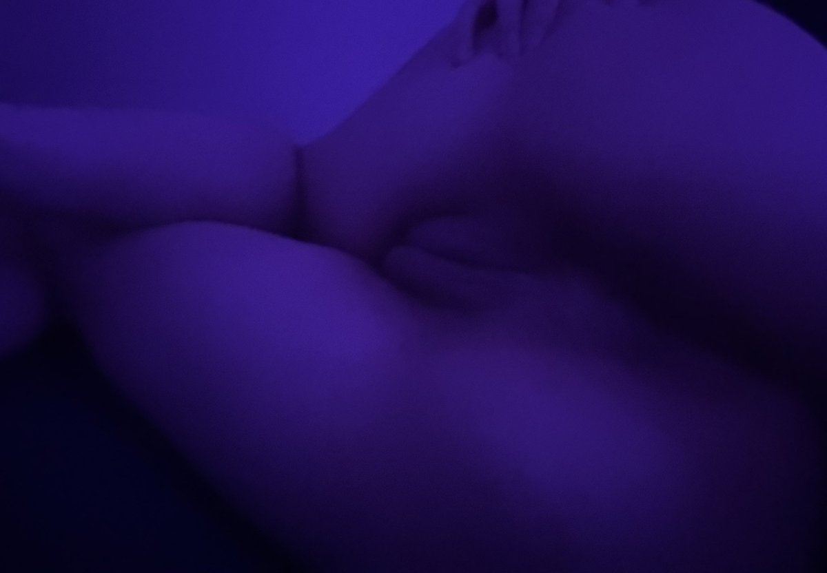 🐾 kitty tweet media