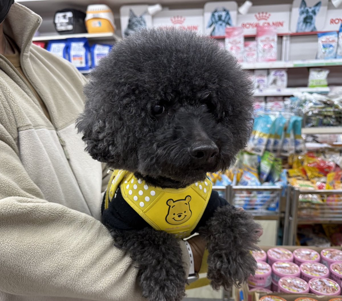 アシュくん💕
ご来店ありがとうございました☺️
