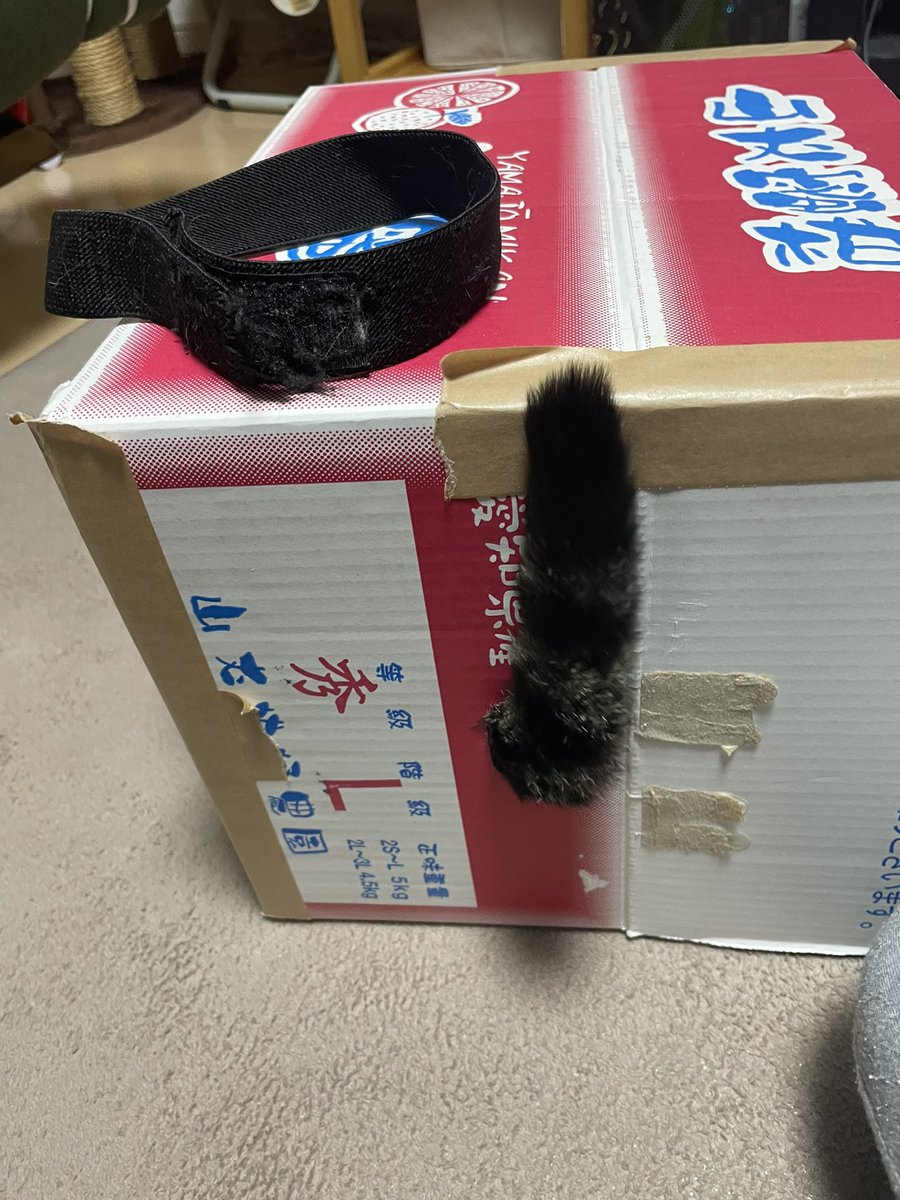 皆さんお疲れ様〜^_^早いものでもう2月になりましたが寒さもまだまだやわらがなさそうなのでしっかり体調管理してラウドネス魂でまた1週間頑張りましょうね〜👍