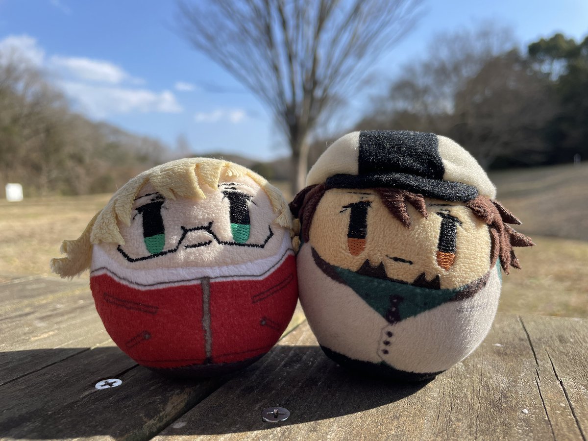 今日は体調が良かったので散策 🐯 これはモミジバフウの実だな 🐰 よく