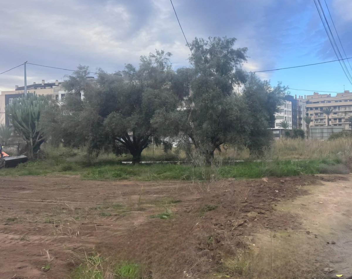 FJLUDENA's tweet photo. 🚜 Tras la solicitud que realicé, se han realizado trabajos de limpieza de los solares privados situados en la zona de las Calles Iglesia, San Rafael, Rocío, Santa a Cecilia, entre otras.

💪🏻 Seguimos trabajando para que nuestra Pedanía y sus solares estén en condiciones óptimas. https://t.co/93i9ZNhcOp