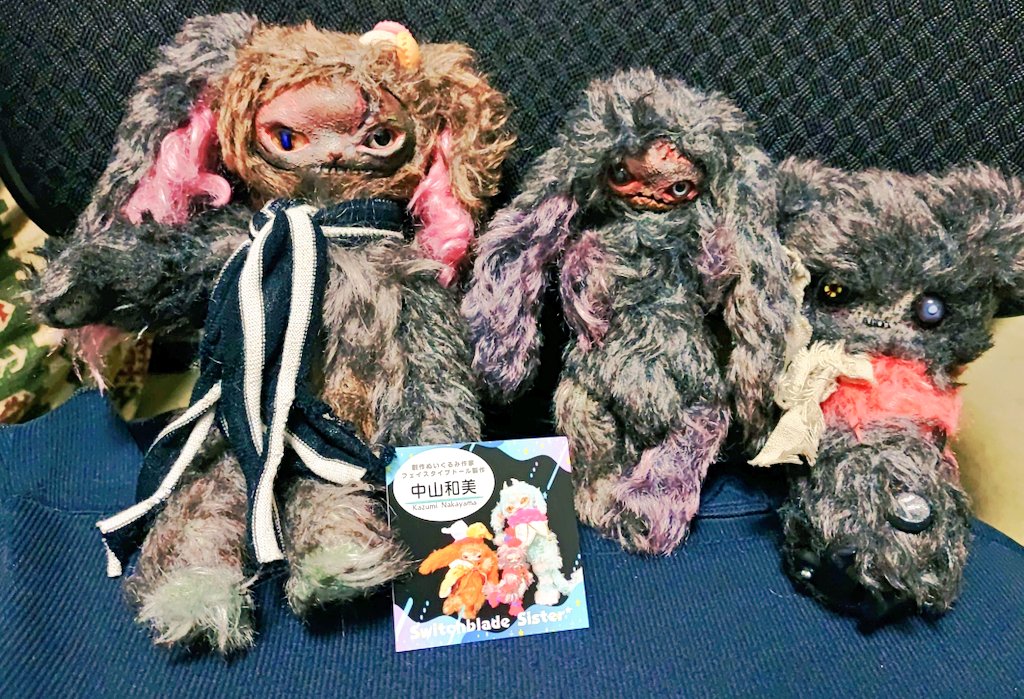 中山和美＊Nakayama Kazumi 🐈‍⬛🐾 (@iiinecocoiii) / Posts / X