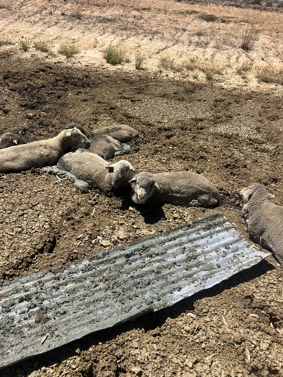 Jason Pymer tweet media