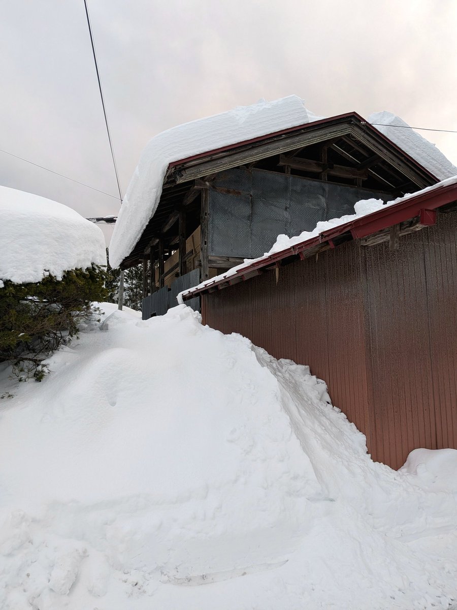 帰宅して惣菜のお寿司を提供w
屋根を確認
頑張ったﾓﾖｳ

#ｲﾏｿﾗ