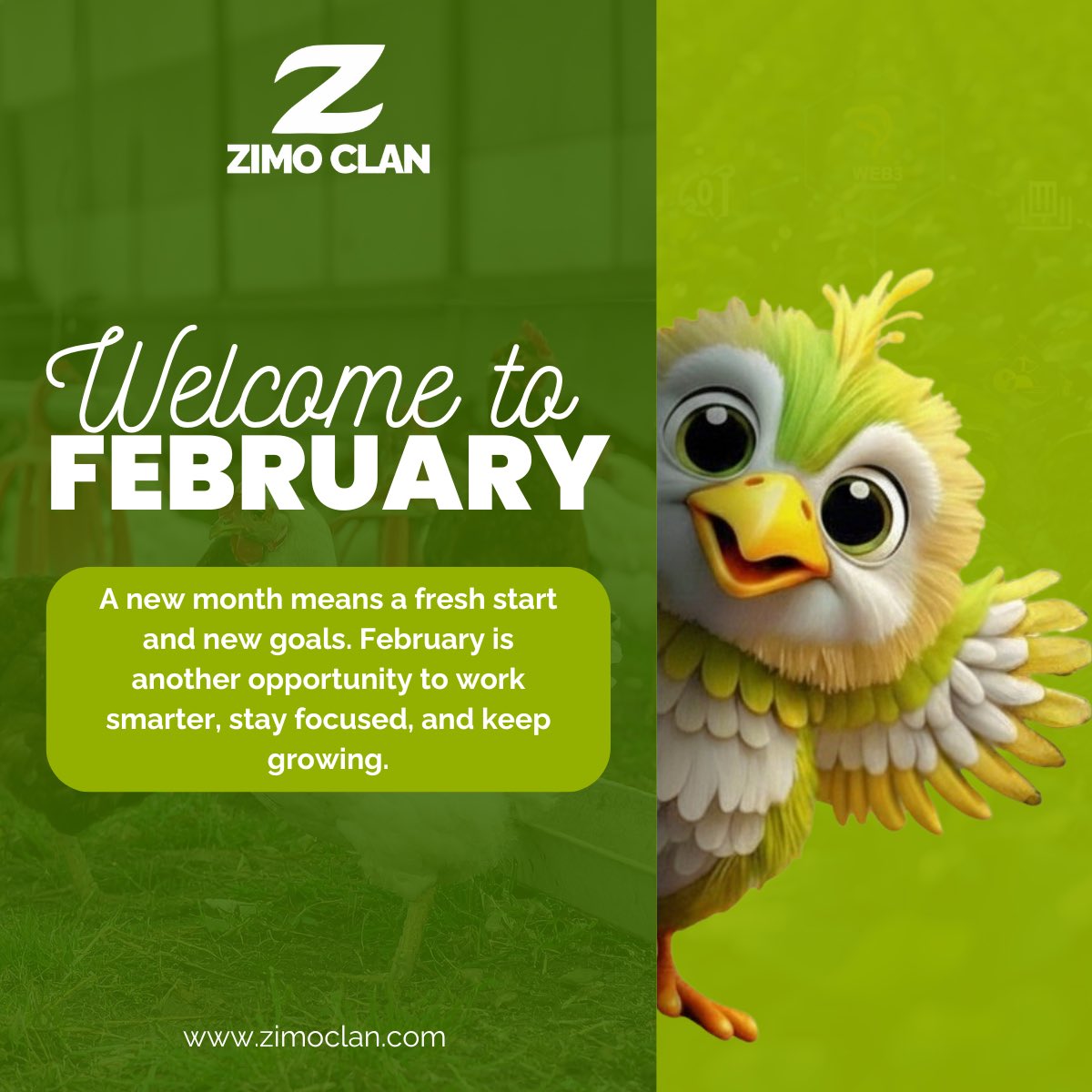 Zimo Clan tweet media