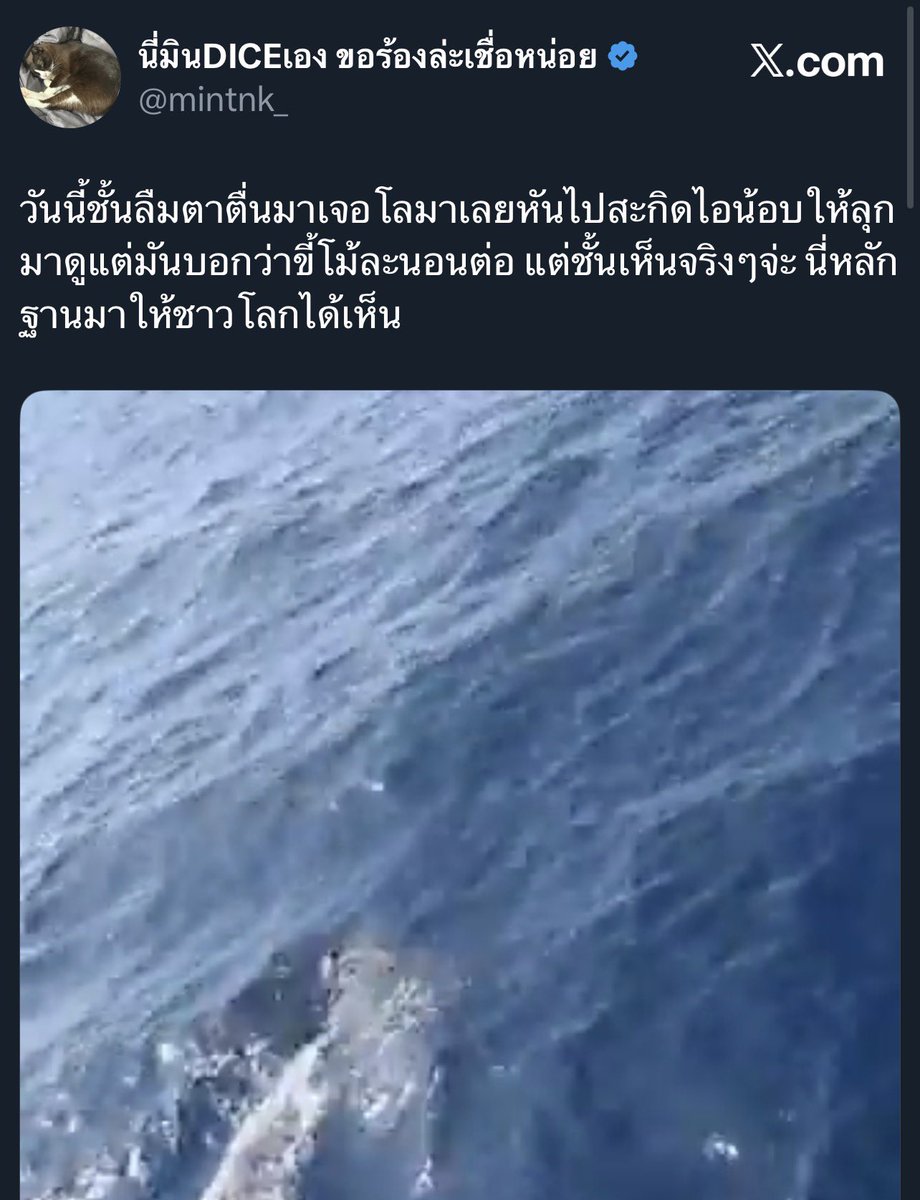 kkatty_2's tweet photo. ถ้ารู้ว่าองุ่นให้ผลเร็วขนาดนี้ นี่กินบ้างละ🙂‍↕️🙂‍↕️🙂‍↔️🙂‍↔️ https://t.co/wFw5x9NBBp