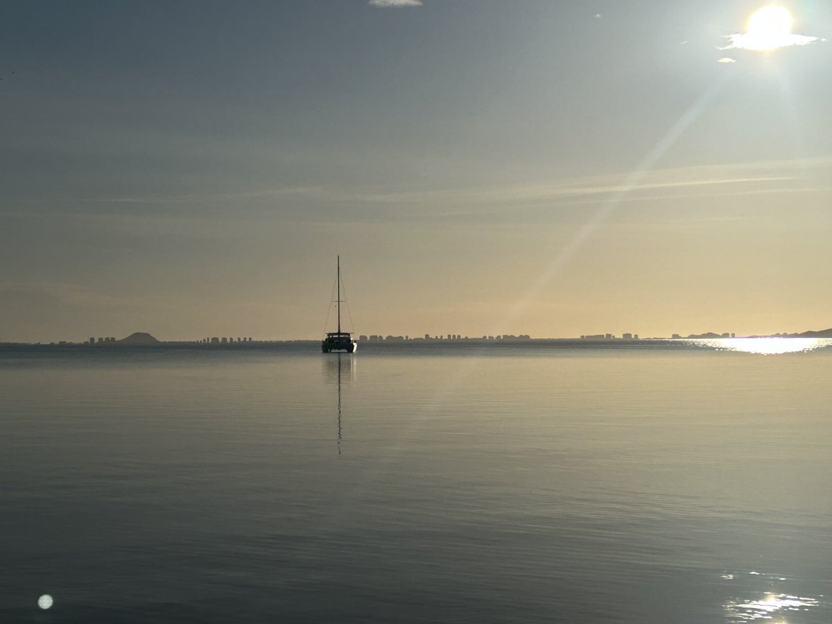 Lord David Simms tweet media