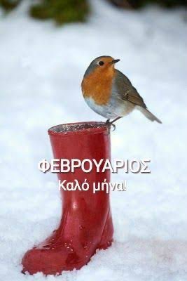 ElenaChaidaki's tweet photo. https://t.co/NNYJJuPMCj