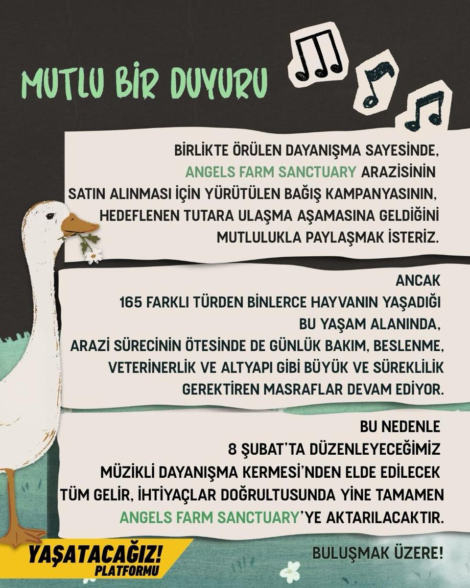 Hepimize umut veren büyük dayanışma 
sayesinde, Angels Farm Sanctuary arazisinin satın alınması için gerekli tutarın tamamlanmasına çok az kaldı! 🥳

Ancak bu yaşam alanında, arazi bedelinin ötesinde; günlük bakım, beslenme, veterinerlik ve altyapı gibi çok sayıda hayati ihtiyaç