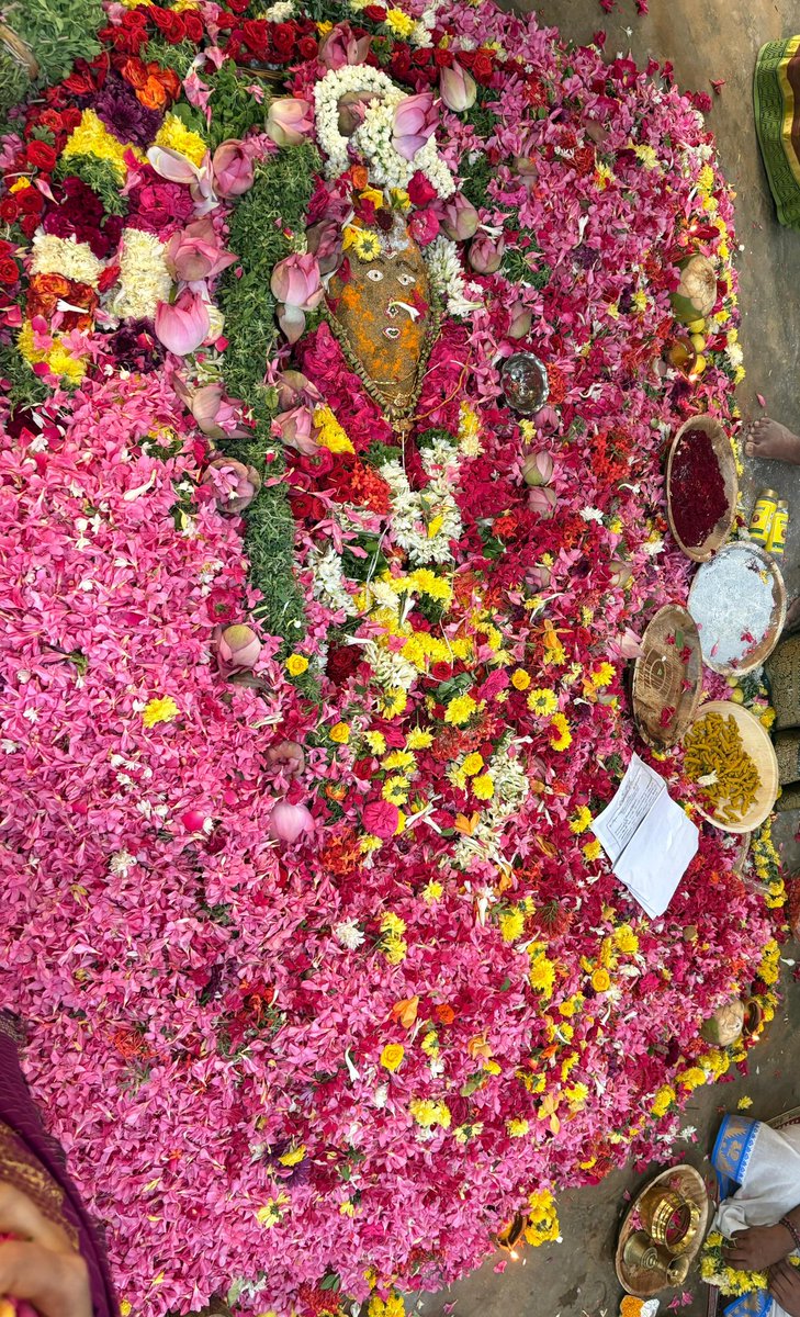 🪷 MЄЄƝƛ ƖƳЄƦ 🪷 tweet media