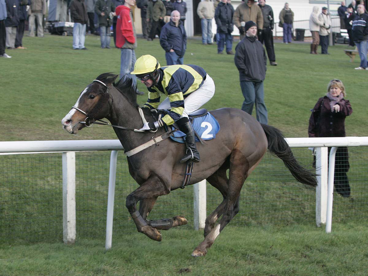 Hexham Racecourse tweet media