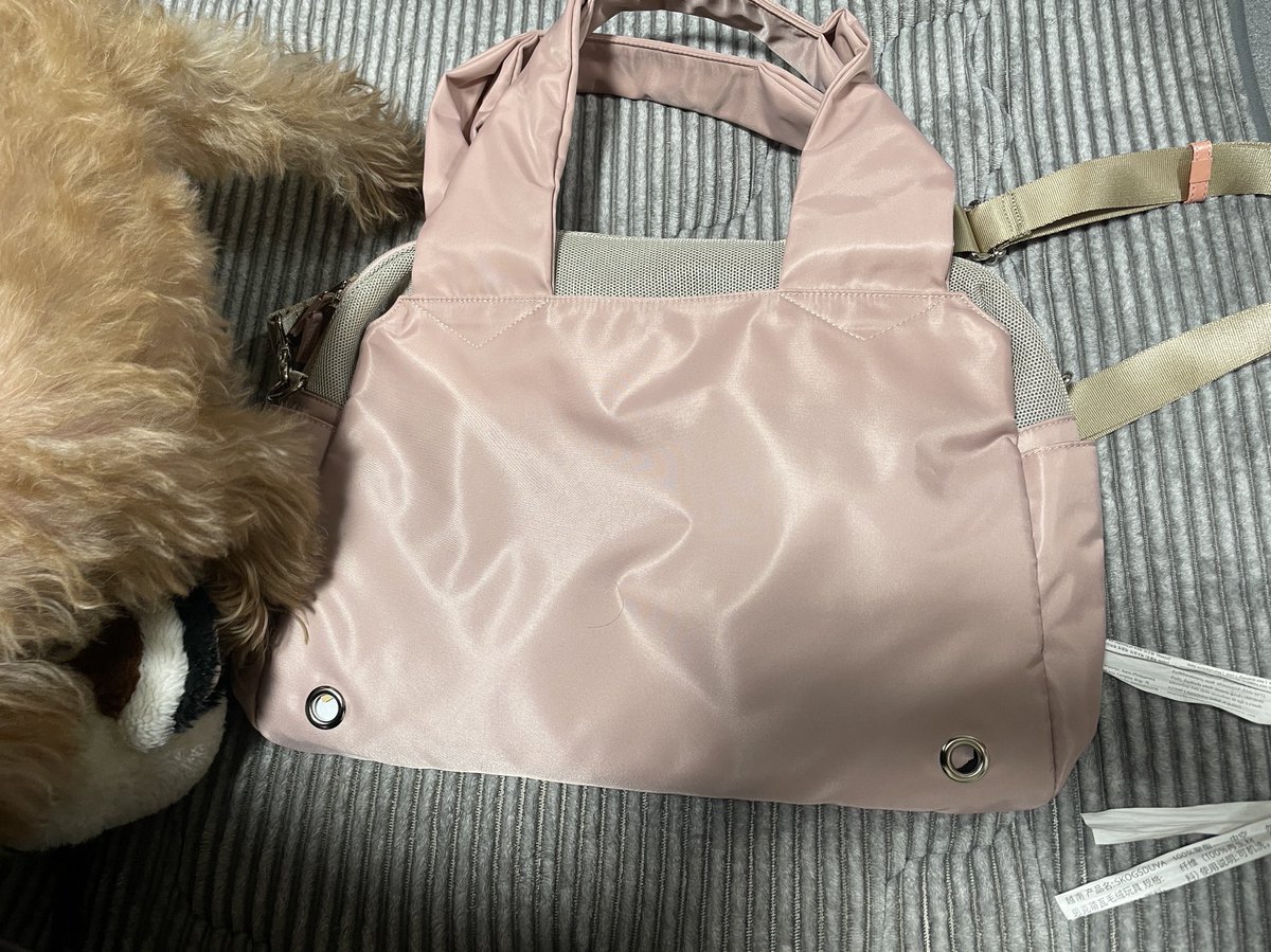 Inu_Chewbacca's tweet photo. 中野ブリヂストンケンネルで20%OFF。チョビ用リュックとショルダーとハーネスとリードを購入 https://t.co/j8eEkziTwT