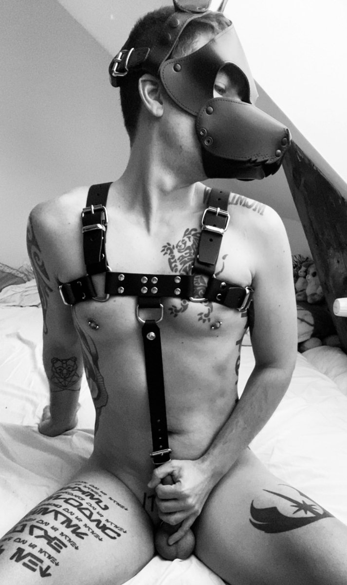 DanishSigma85 tweet media