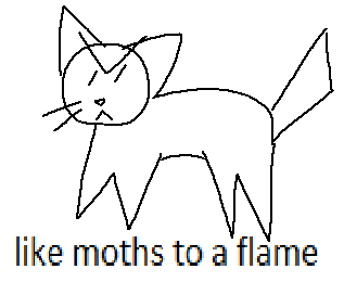 princess kitty cat tweet media