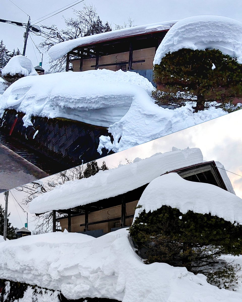 上↑昨年の2/24
下↓本日2/1
やっぱり昨年より多い…