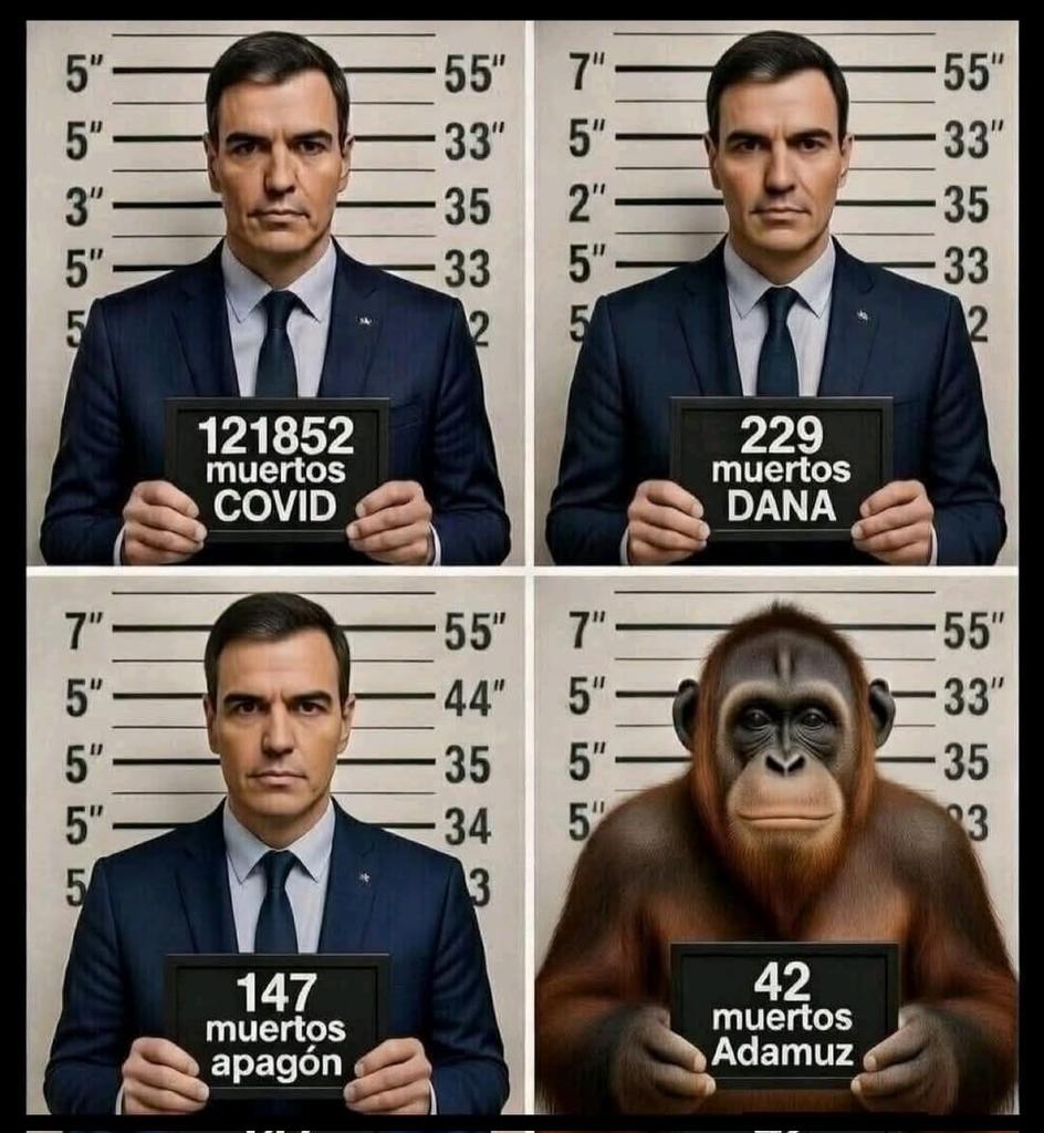 Y aún hay millones de subAnormaleeeeeeeeeeeeeeeeeeeeeeeeeeeeeeeeeeeeeeeeeeeeeeeeeeeeeeeeesssss que le votarán.