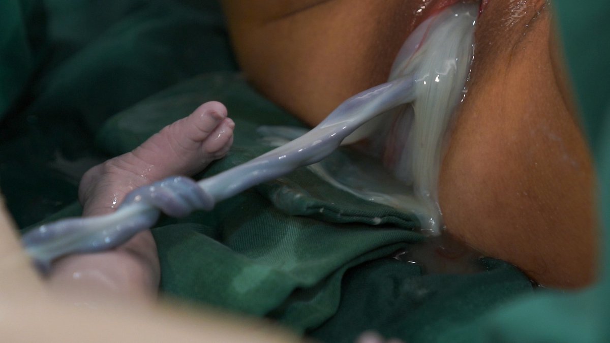 出産好きの物好きさん tweet media