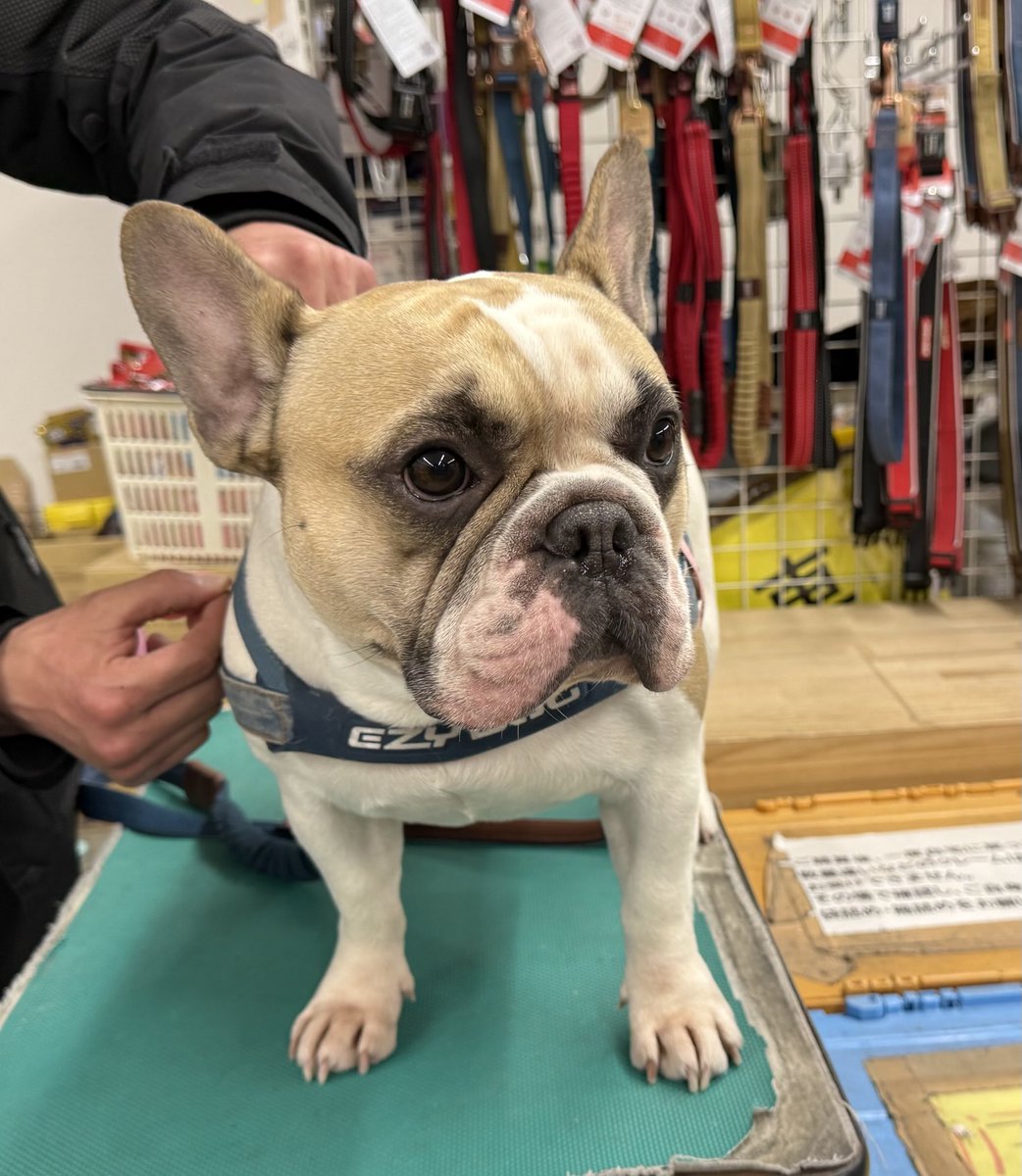 あおくん💕
ご来店ありがとうございました☺️