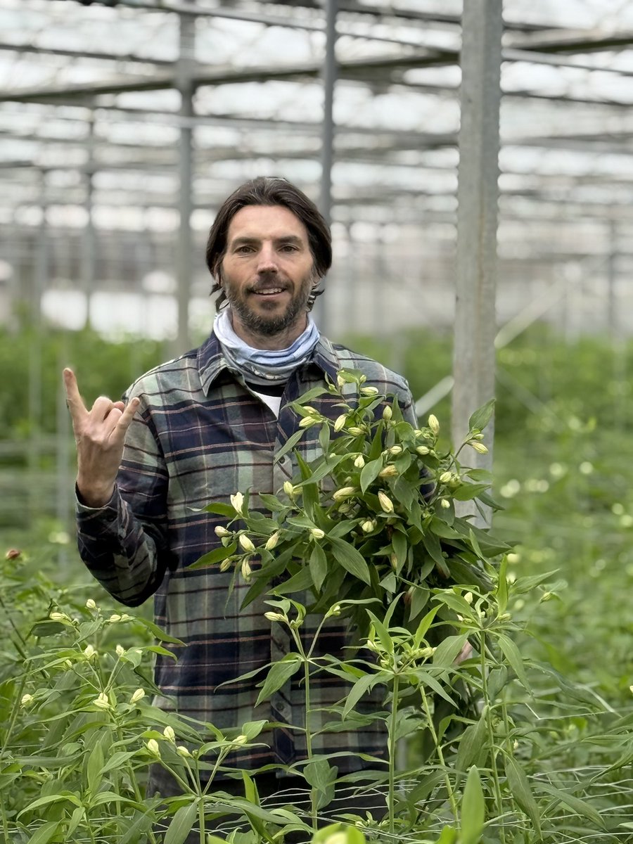 Crosslands Flower Nursery👨‍🌾🌿 tweet media