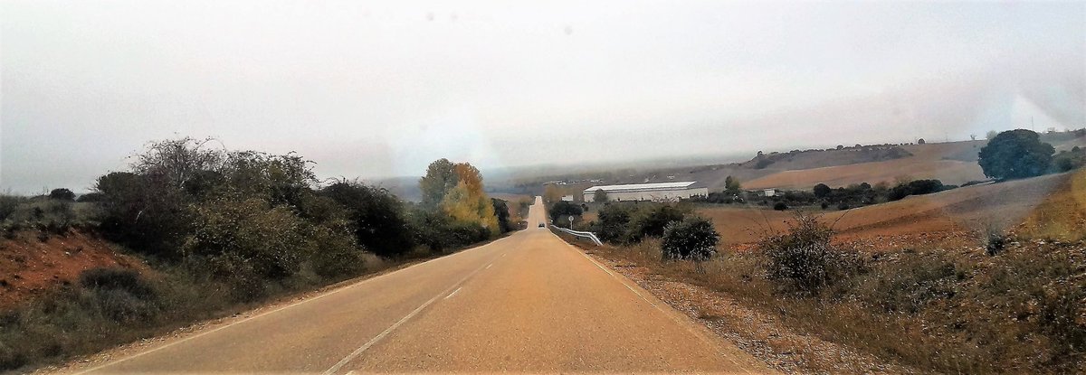 villabrazaro's tweet image. Refranes
• En febrero loco ningún día se parece a otro
• Febrerillo el orate, cada día hace un disparate.
• Nieve en febrero, buena si es a primeros
• Si en febrero caliente estás, por Pascua tiritarás
• Si no llueve en febrero, ni trigo ni centeno
#Villabrázaro #Zamora #CyL