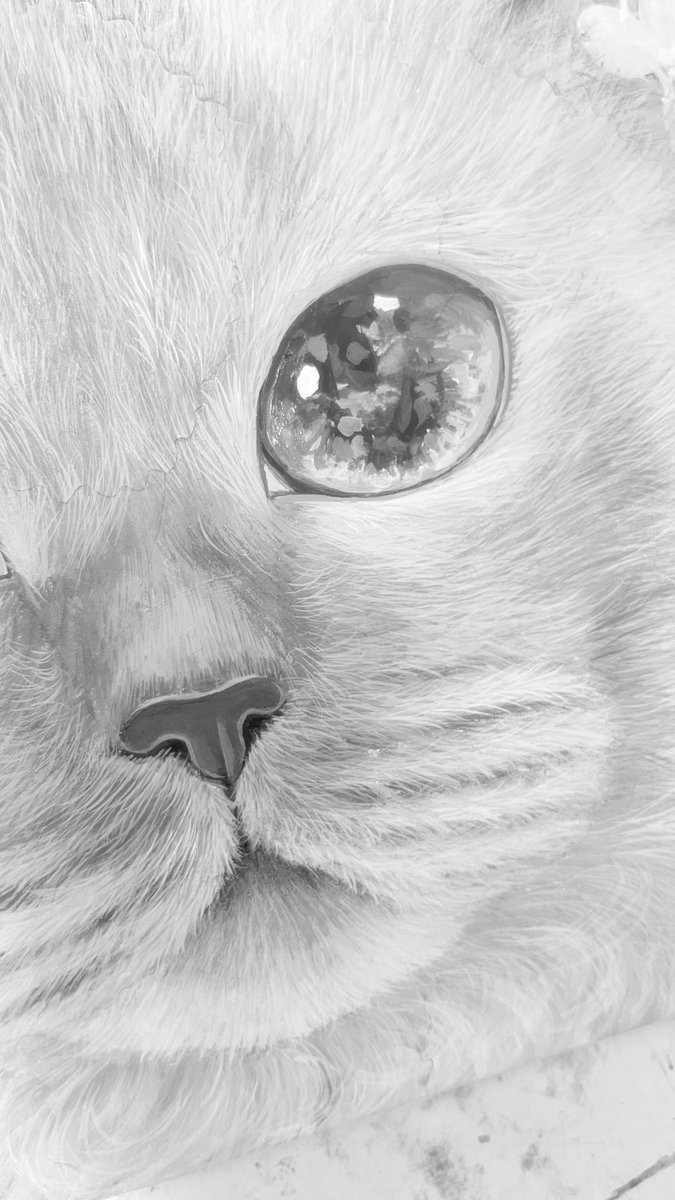 福嶋吾然有 (@AsariCats) / Posts / X