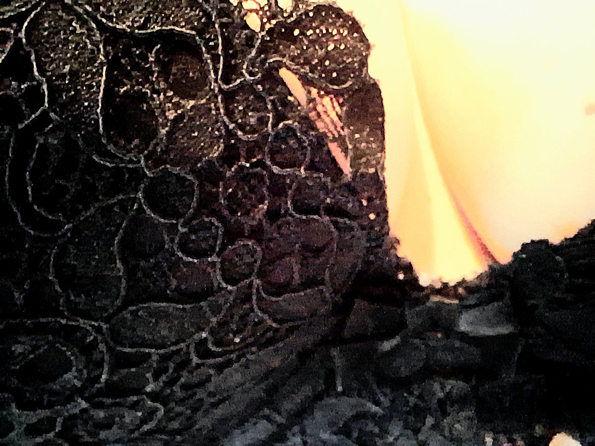 Pour une nouvelle vie tweet media