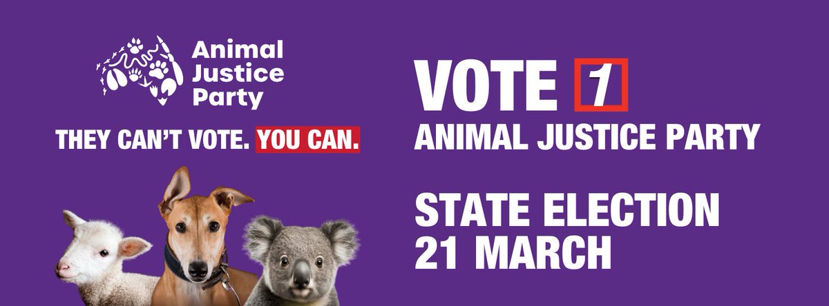 animaljusticeAU's tweet photo. VOTE #1 AJP IN SOUTH AUSTRALIA!

We have plenty of work to do in South Australia for animals, people and the Planet. 

MEET: https://t.co/oczx3Tzpbh

SUPPORT: https://t.co/apiIh17rVt 

#AusPol #SAParli #Vote1AJP #Animals #SAPol #Politics #AusPol2026 #Election #StateElection https://t.co/Pesm64d9N7