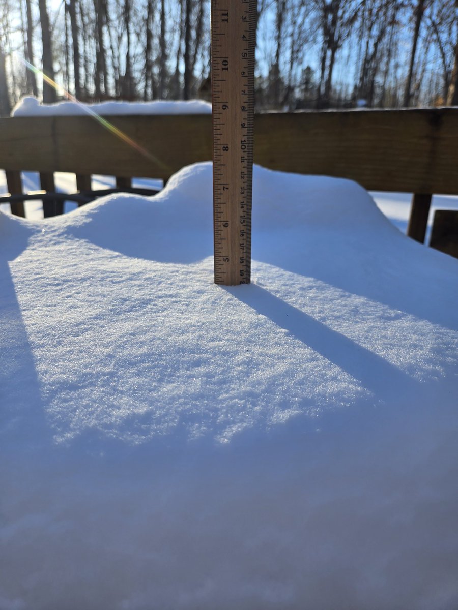 Daniel Saltzberg tweet media