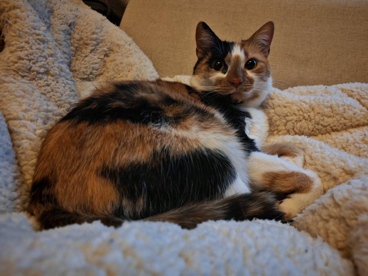 basiulowo's tweet image. Ta mina mówi jedno "Będziesz tak łaskawa i pójdziesz w końcu spać? Bo ja chcę już iść spać!" #Rudi #BasiulowoMoods