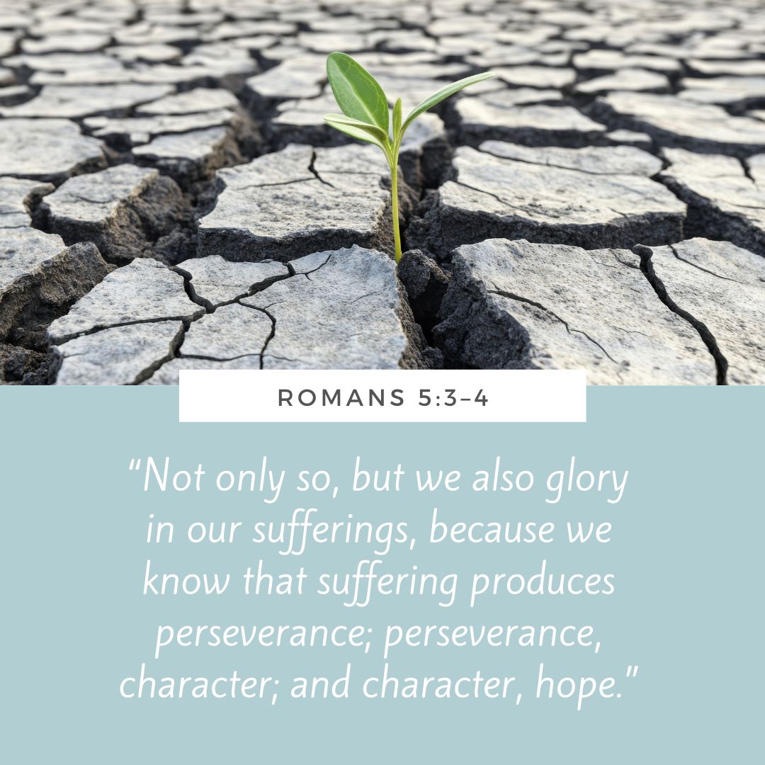 TrinitySchoolNH's tweet image. #ScriptureSunday #SundayScripture #Romans5:3-4