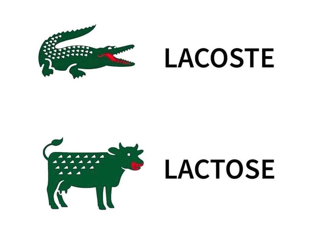 Ramin Nasibov (@raminnasibov) on Twitter photo 