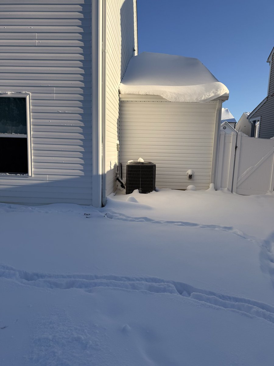 Raphael Cox tweet media