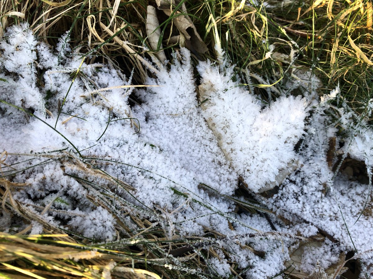 Finntastic tweet media