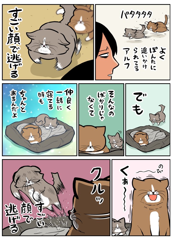 鴻池 剛 (@TsuyoshiWood) / Posts / X