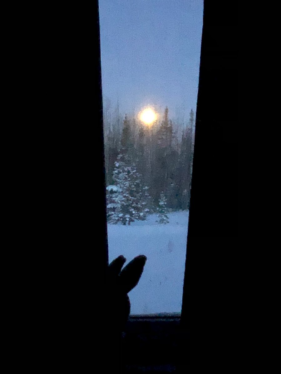 pineal colada tweet media