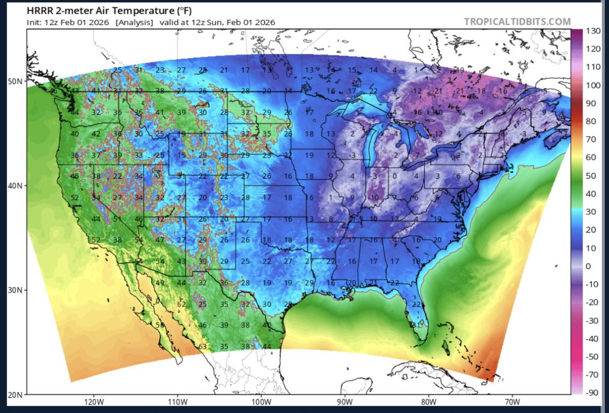 DixieChasing tweet media